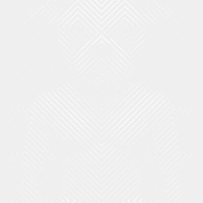 monomoko boxerboxer bw Thumbnail