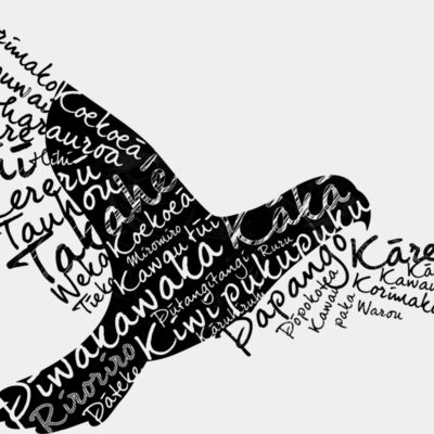 wellprotected image black Thumbnail