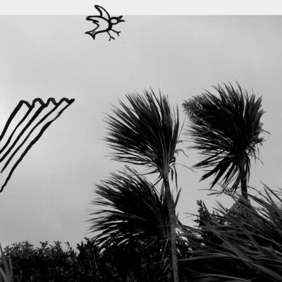 welltypical image black Thumbnail